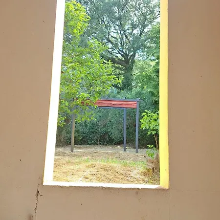 La Casa Di Loli